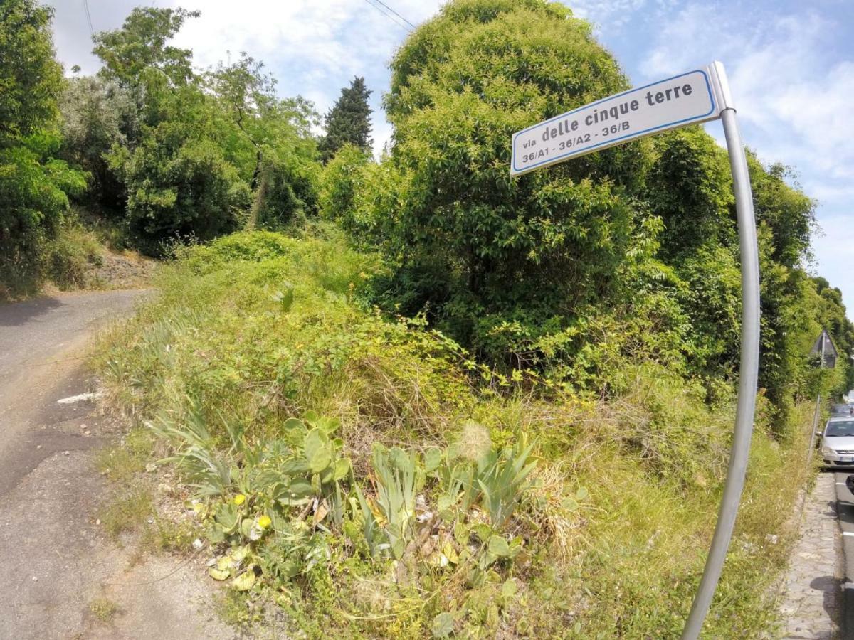 Villa Grazia La Spezia Ngoại thất bức ảnh